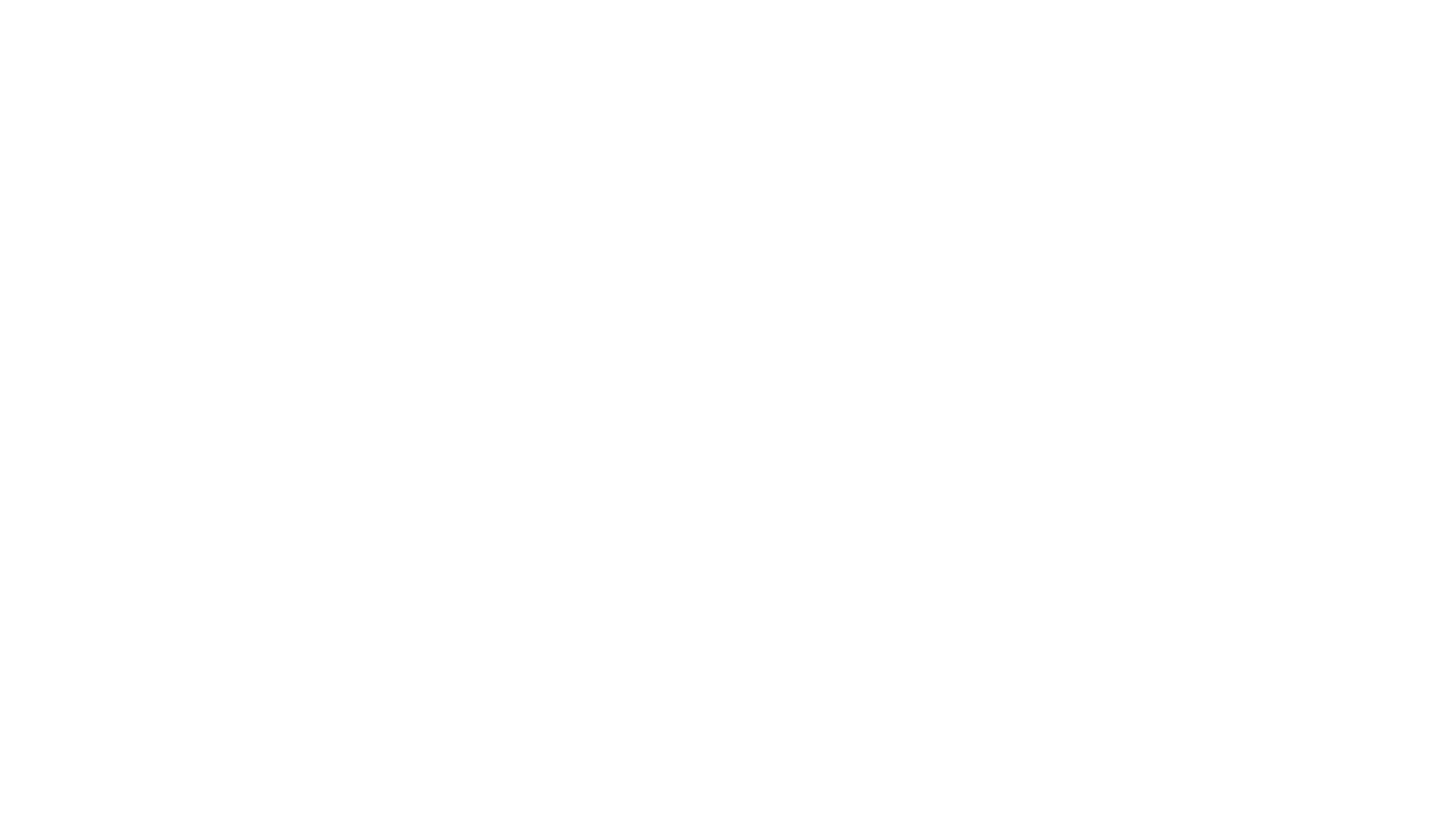 Bache Group
